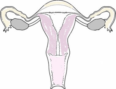 1727684755763555.jpg 1.jpg